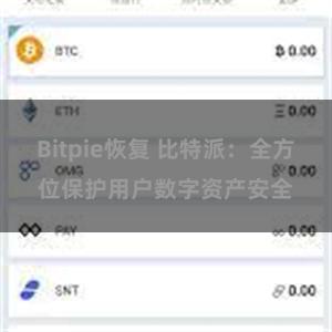 Bitpie恢复 比特派：全方位保护用户数字资产安全