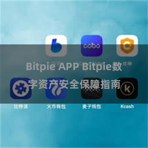 Bitpie APP Bitpie数字资产安全保障指南