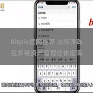 Bitpie官网推荐 比特派钱包多链资产管理操作指南