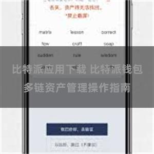 比特派应用下载 比特派钱包多链资产管理操作指南