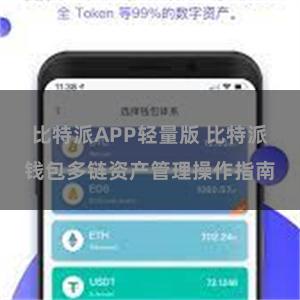 比特派APP轻量版 比特派钱包多链资产管理操作指南