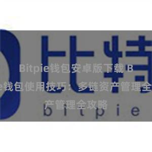 Bitpie钱包安卓版下载 Bitpie钱包使用技巧：多链资产管理全攻略