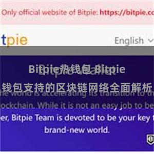 Bitpie热钱包 Bitpie钱包支持的区块链网络全面解析