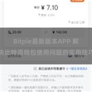 Bitpie最新版本APP 解决比特派钱包使用问题的实用技巧