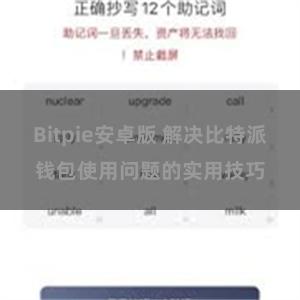 Bitpie安卓版 解决比特派钱包使用问题的实用技巧