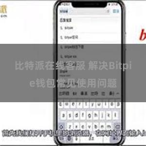 比特派在线客服 解决Bitpie钱包常见使用问题