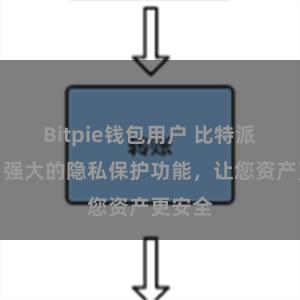 Bitpie钱包用户 比特派钱包：强大的隐私保护功能，让您资产更安全