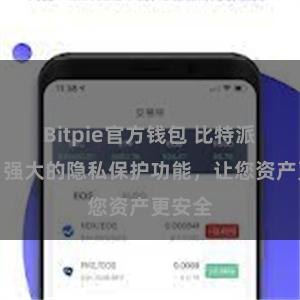 Bitpie官方钱包 比特派钱包：强大的隐私保护功能，让您资产更安全