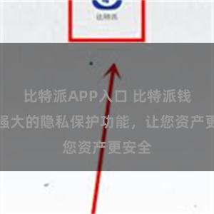 比特派APP入口 比特派钱包：强大的隐私保护功能，让您资产更安全