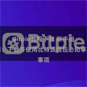 Bitpie教程下载 新手指南：下载并使用比特派钱包必知事项