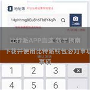 比特派APP直连 新手指南：下载并使用比特派钱包必知事项