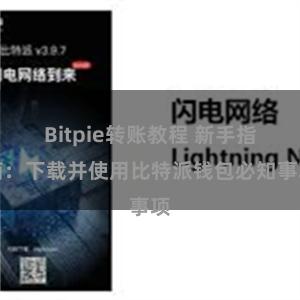 Bitpie转账教程 新手指南：下载并使用比特派钱包必知事项