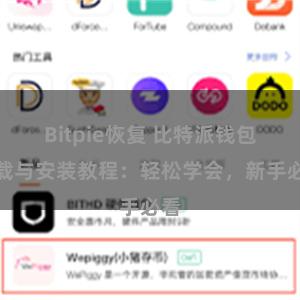 Bitpie恢复 比特派钱包下载与安装教程：轻松学会，新手必看