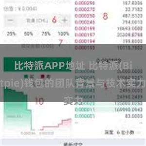 比特派APP地址 比特派(Bitpie)钱包的团队背景与技术实力