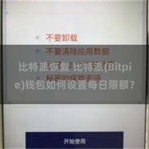 比特派恢复 比特派(Bitpie)钱包如何设置每日限额？