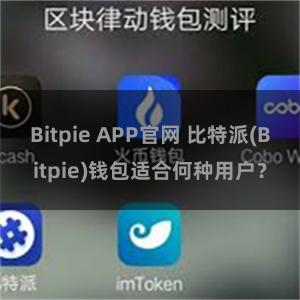 Bitpie APP官网 比特派(Bitpie)钱包适合何种用户？