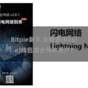 Bitpie新手 比特派(Bitpie)钱包适合何种用户？