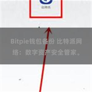 Bitpie钱包备份 比特派网络：数字资产安全管家。