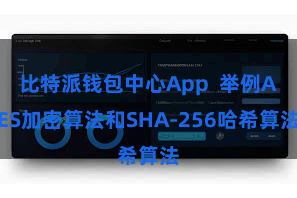 比特派钱包中心App  举例AES加密算法和SHA-256哈希算法