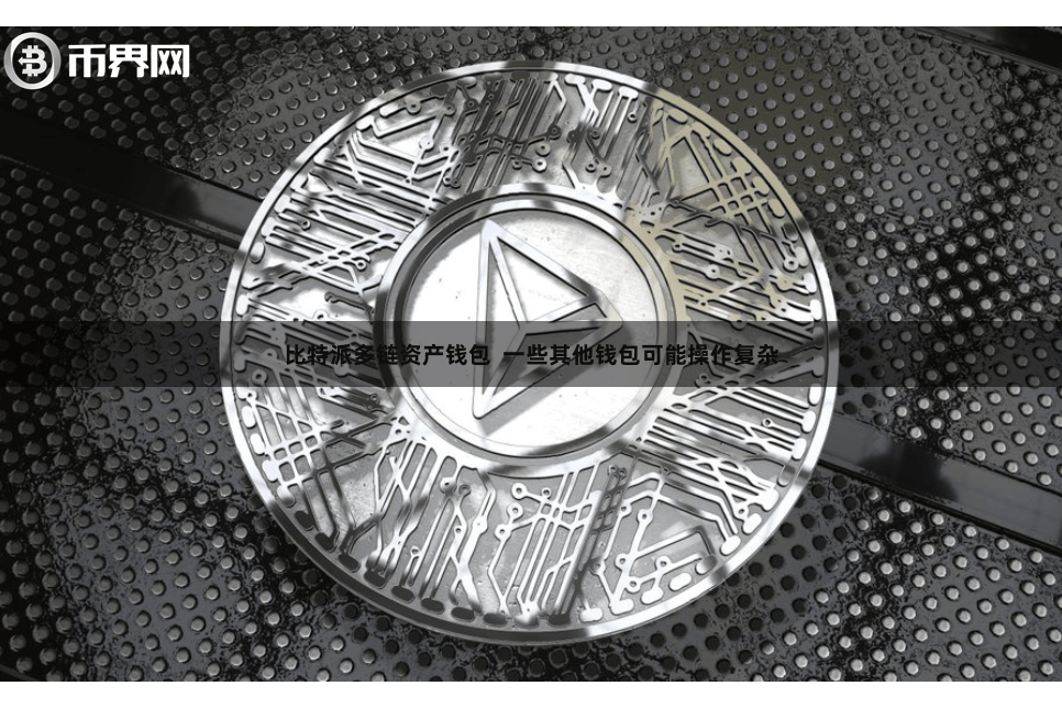 比特派多链资产钱包  一些其他钱包可能操作复杂