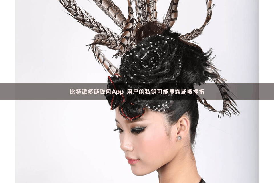 比特派多链钱包App  用户的私钥可能显露或被挫折