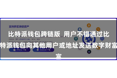 比特派钱包跨链版  用户不错通过比特派钱包向其他用户或地址发送数字财富